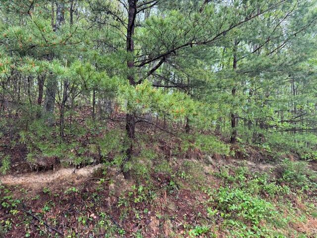 315 Moonbeam Lane Property Photo 68