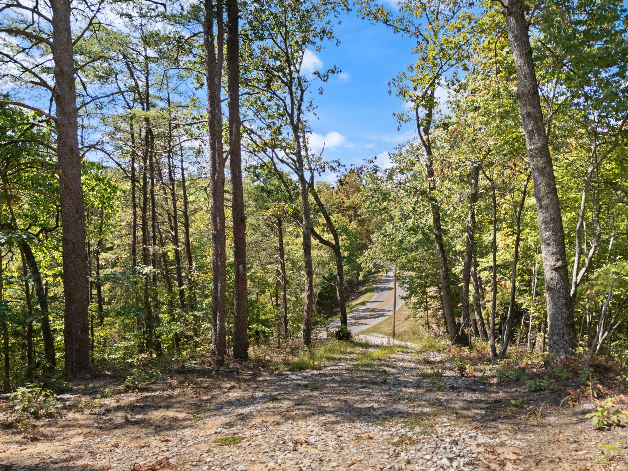 960 High Rock Property Photo 3