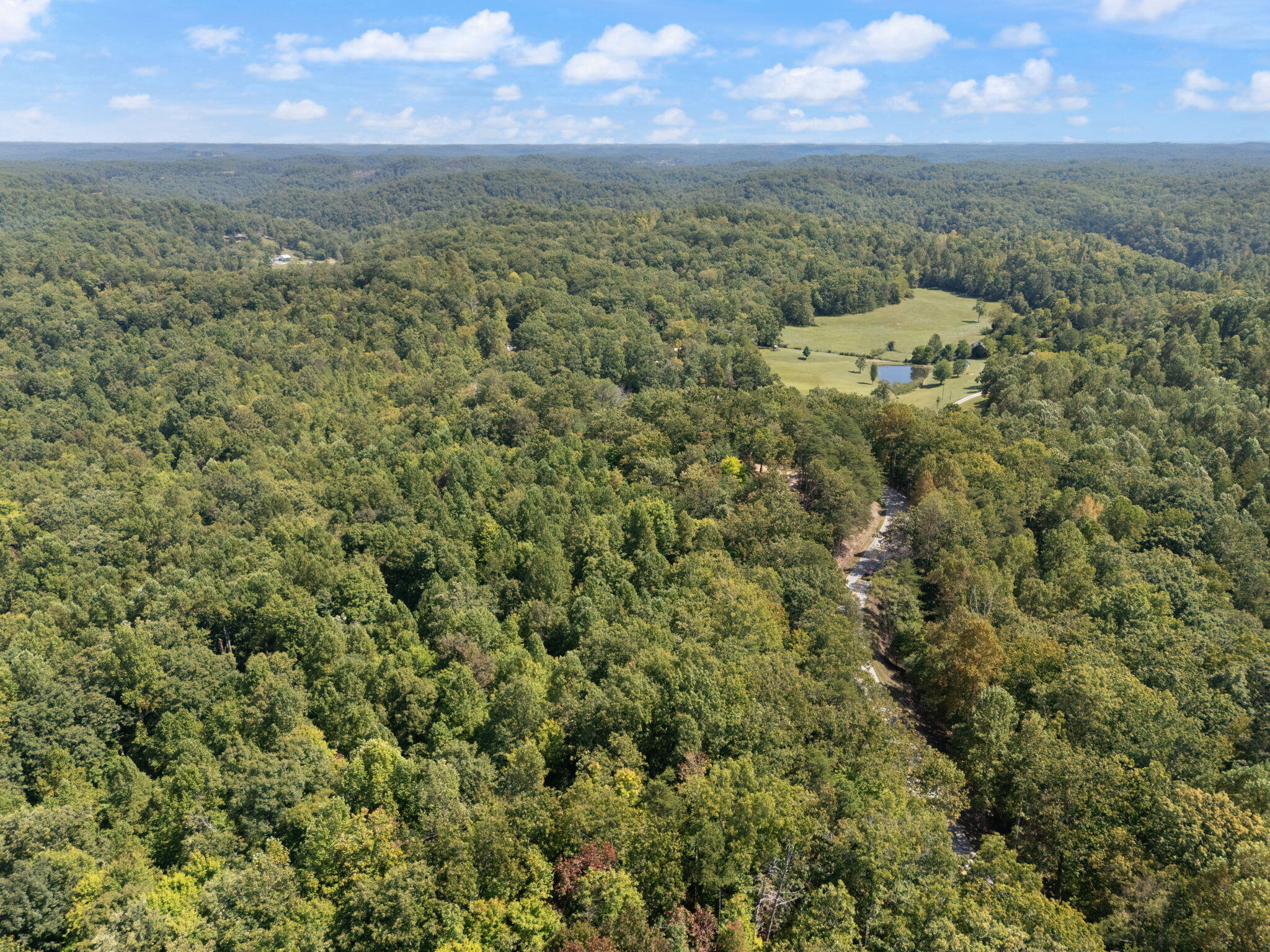 960 High Rock Property Photo 11