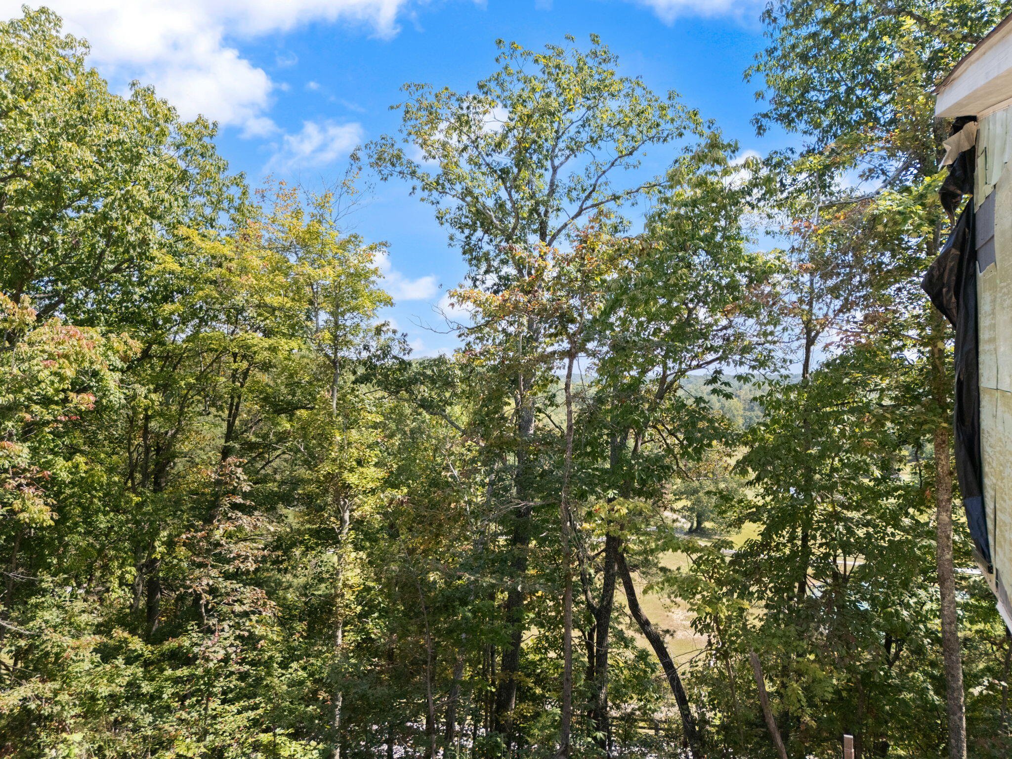 960 High Rock Property Photo 15
