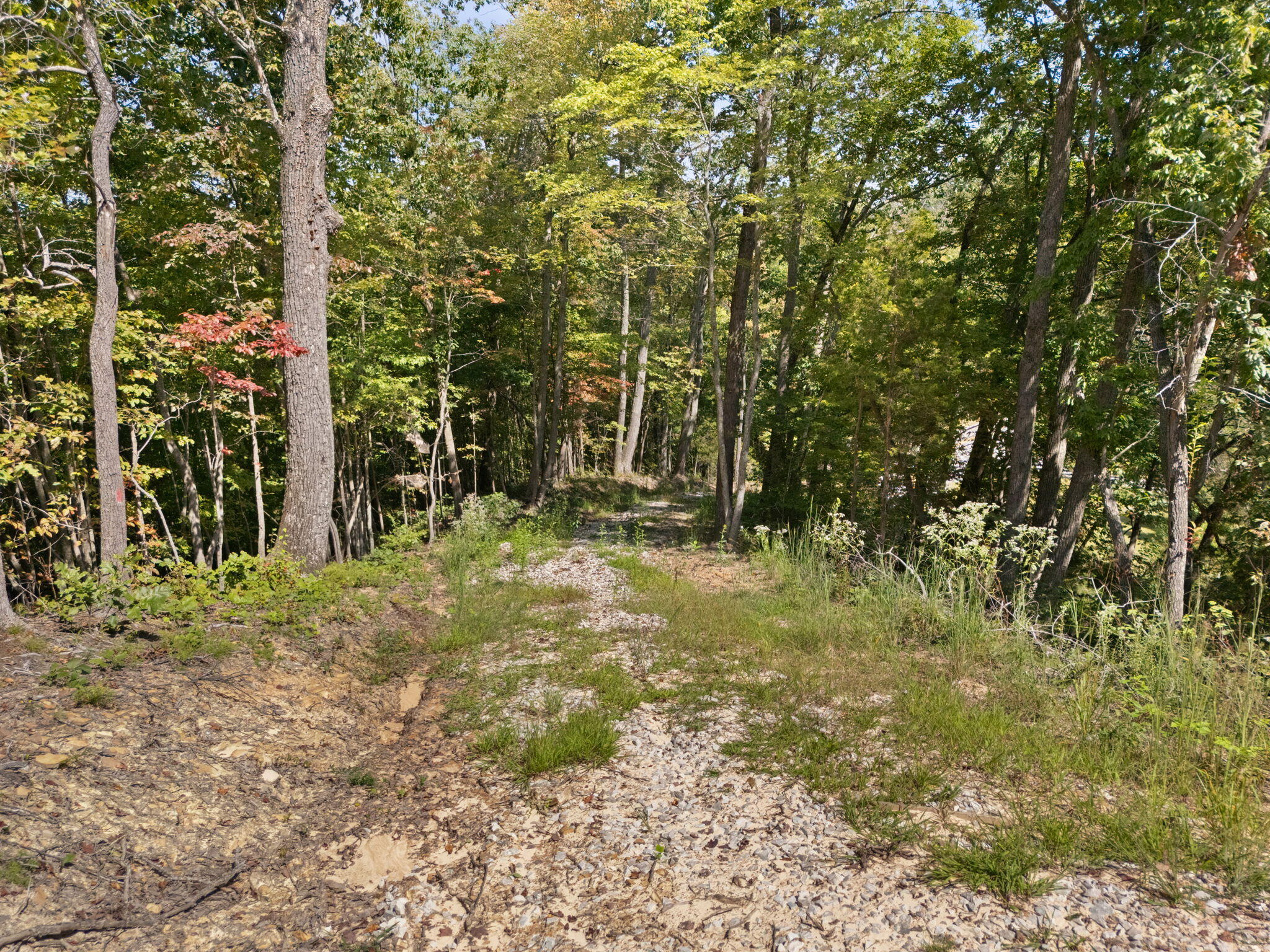 960 High Rock Property Photo 16