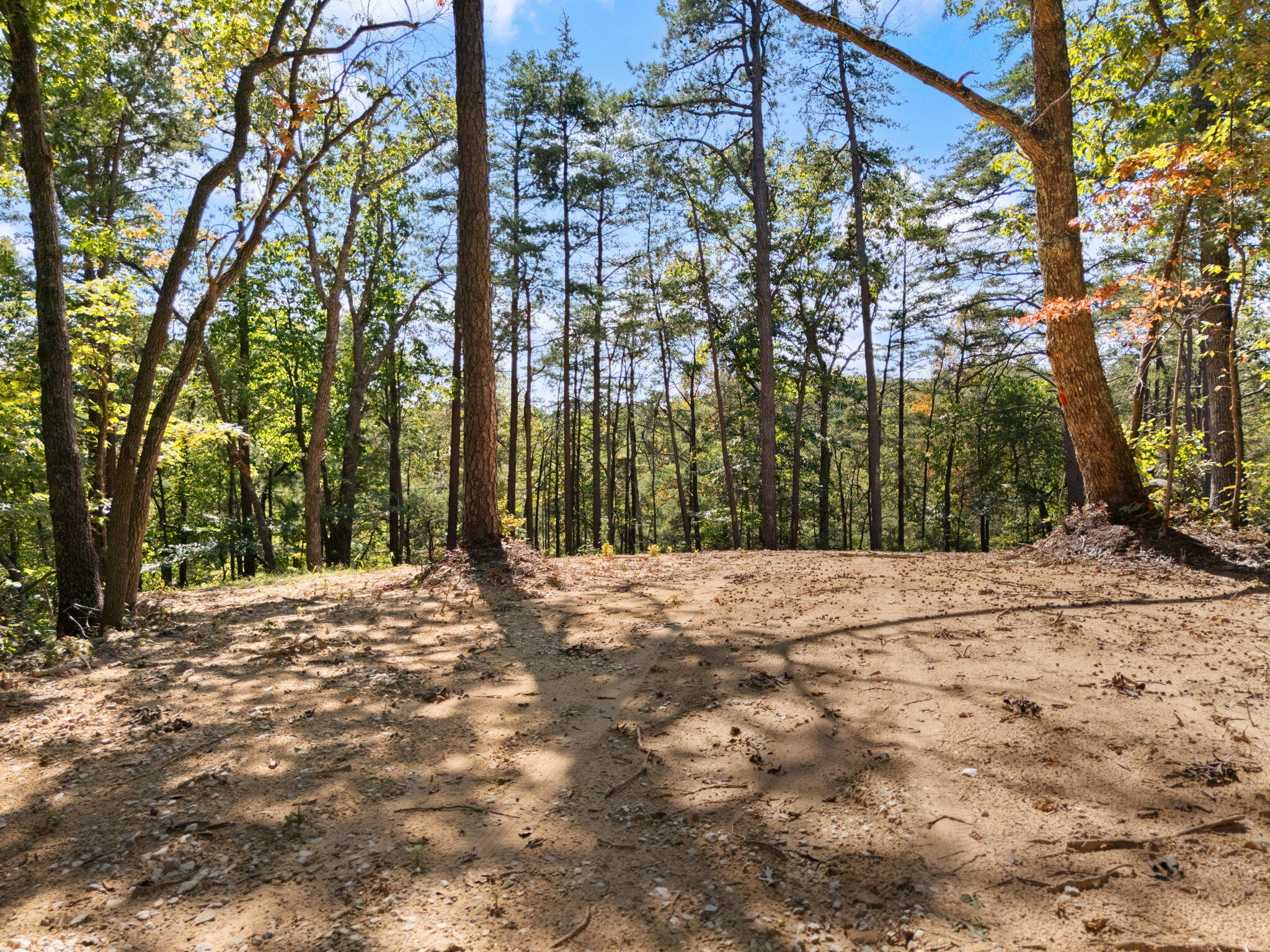960 High Rock Property Photo 24
