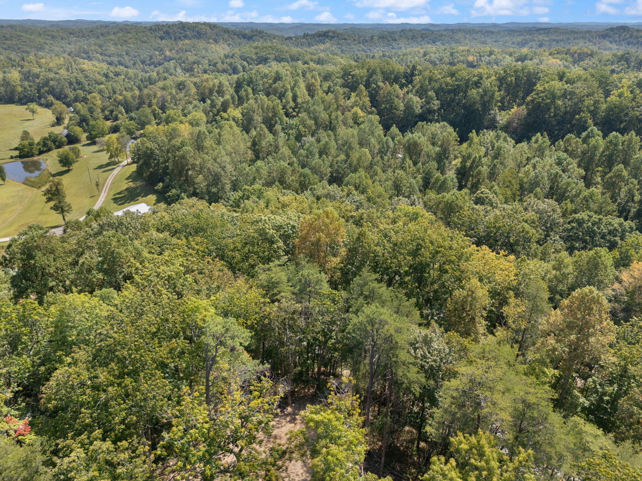 960 High Rock Property Photo 28