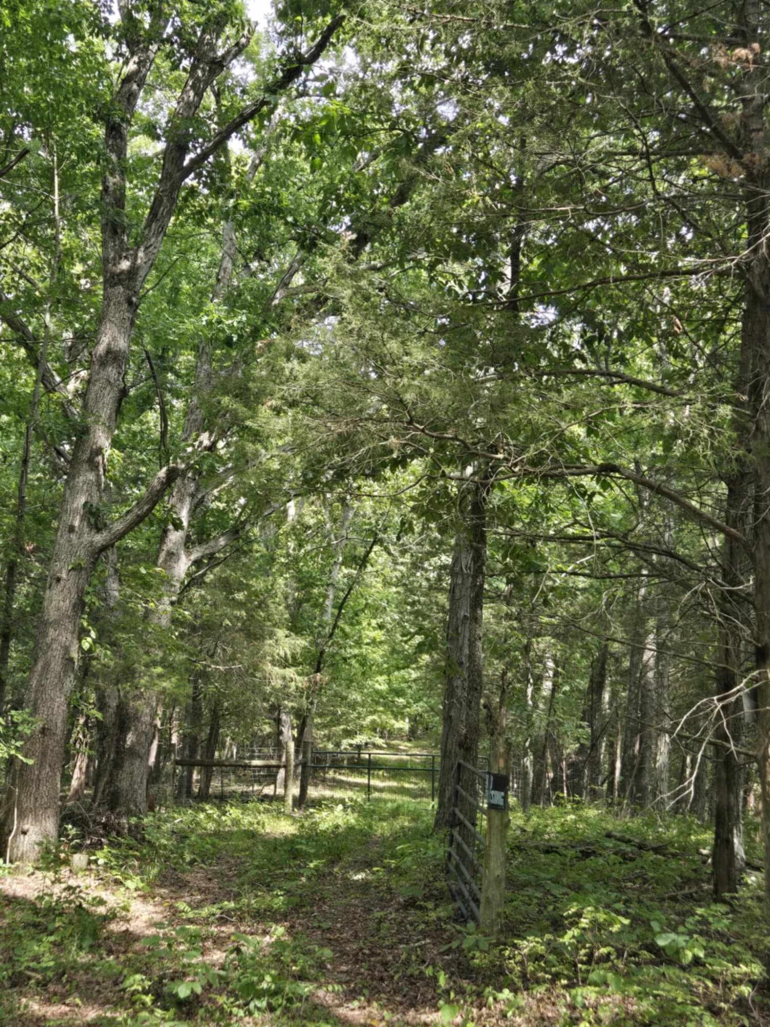 2607 Royalty Ridge Road Property Photo 1
