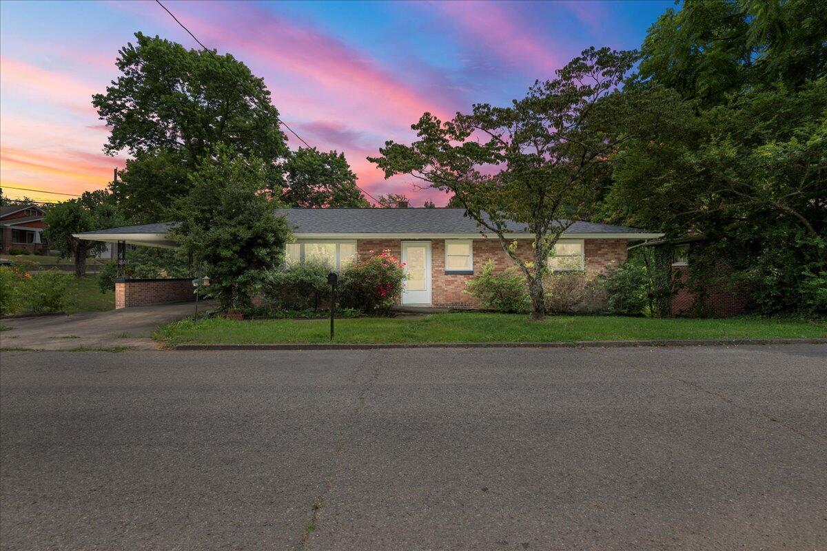 413 Chestnut Street Property Photo 1