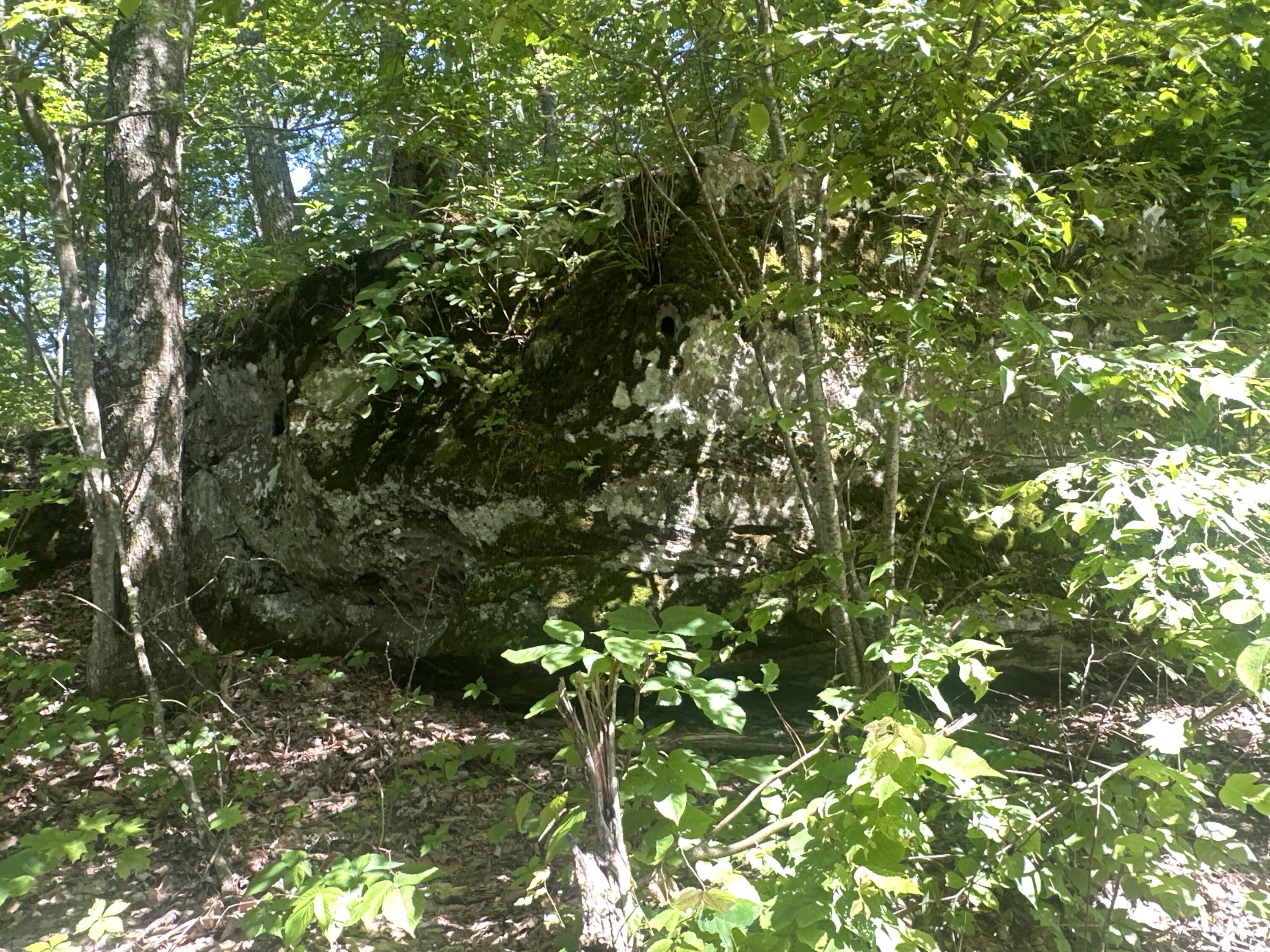 9998 Big Springs School Property Photo 5