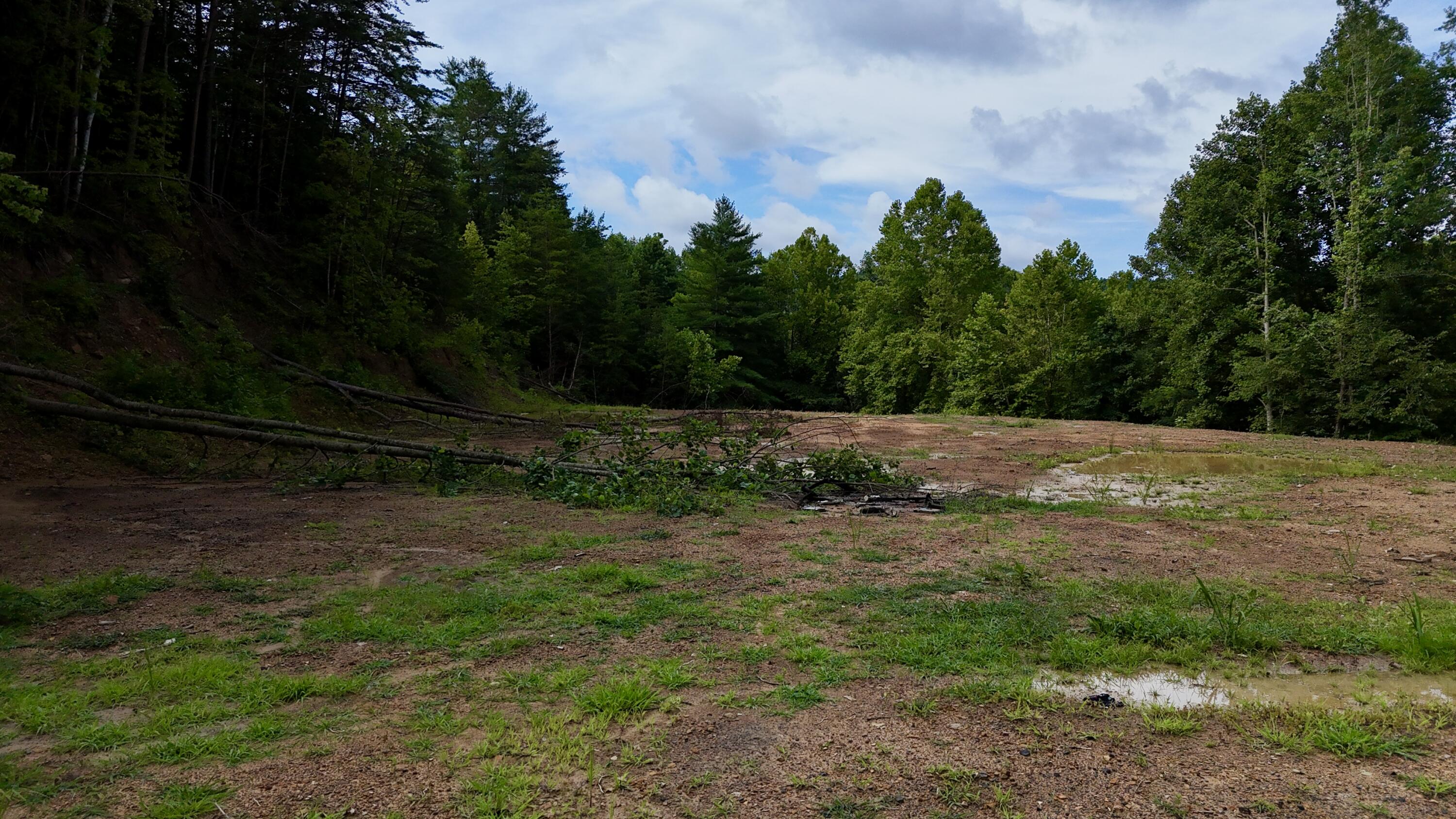 223 Bertha Hollow Road Property Photo 6