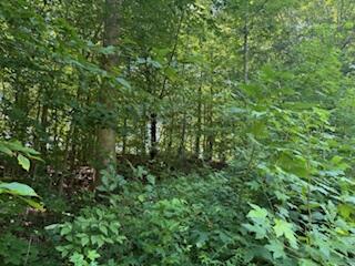 Lot 56-60 Cedar Drive Property Photo 6