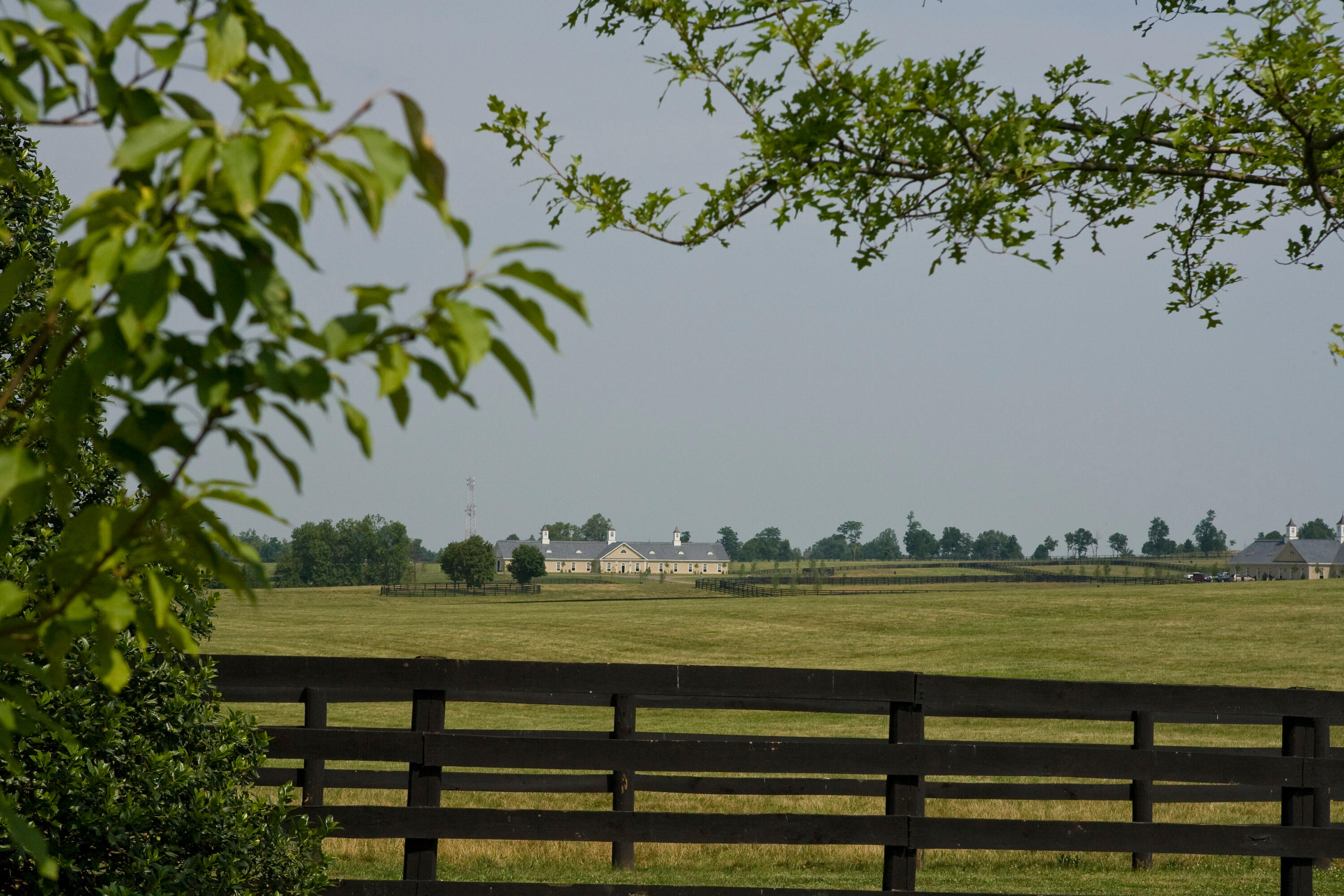 629 A Cane Ridge Road Property Photo 17