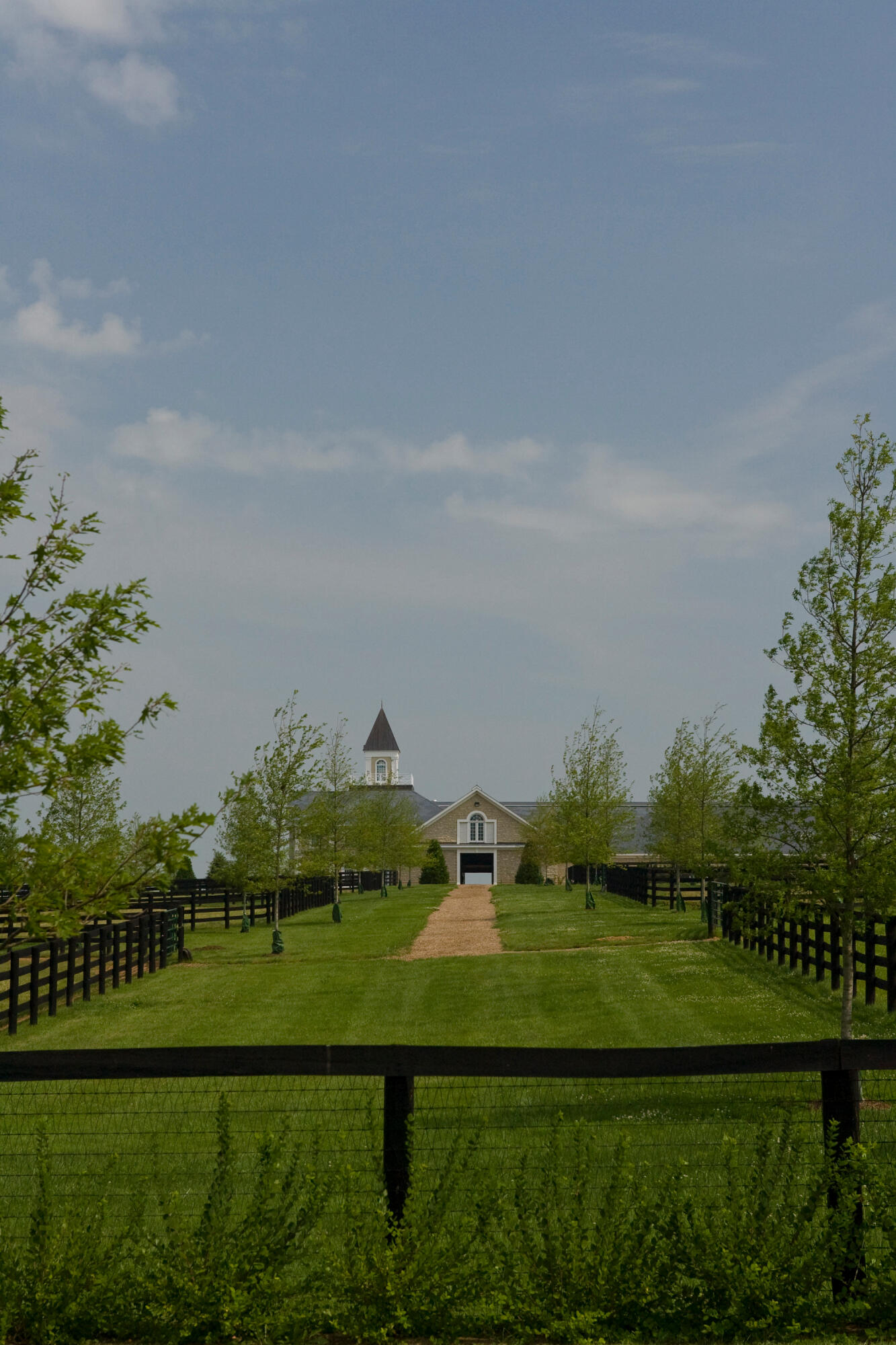 629 A Cane Ridge Road Property Photo 19