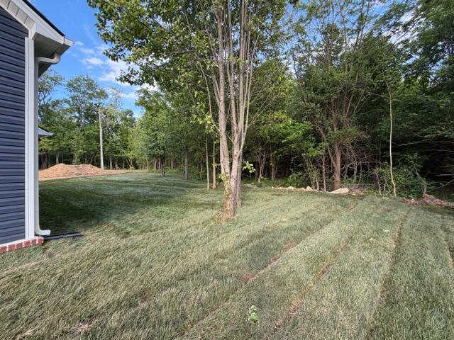 4209 Buttermilk Road Property Photo 41