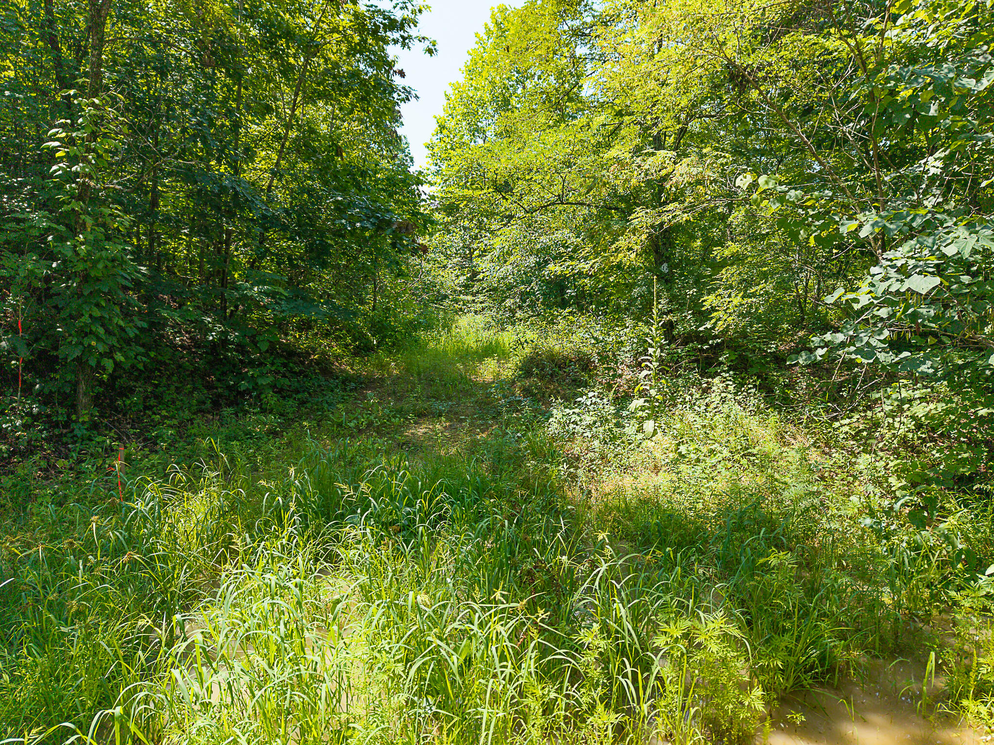 700 Clay Camp Road Property Photo 9