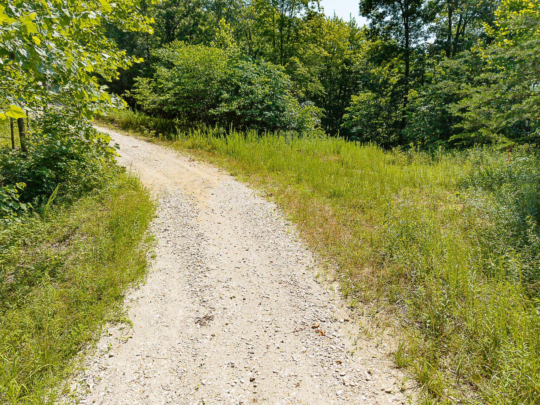 700 Clay Camp Road Property Photo 19
