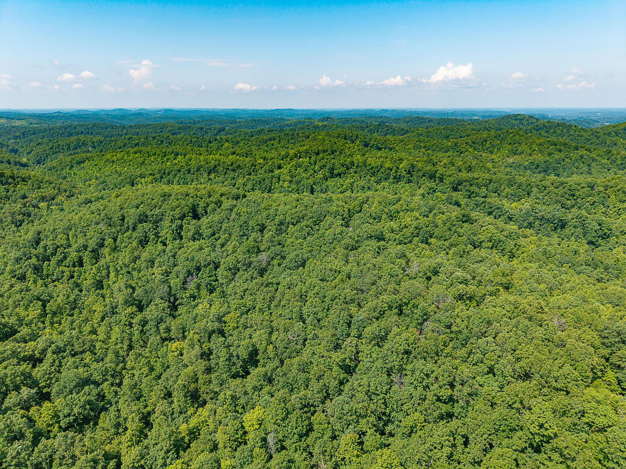 700 Clay Camp Road Property Photo 41