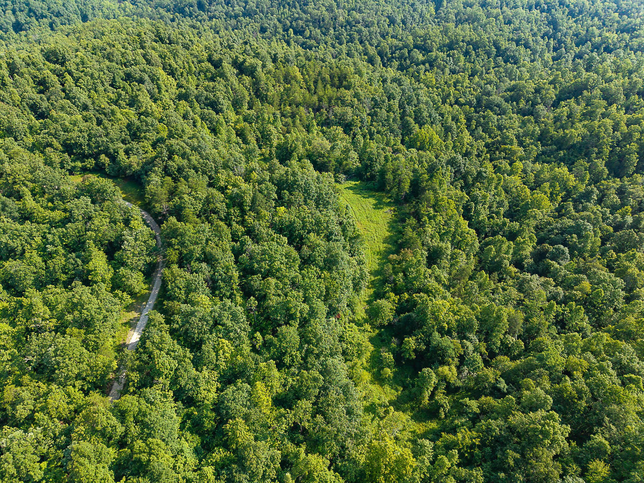 700 Clay Camp Road Property Photo 64