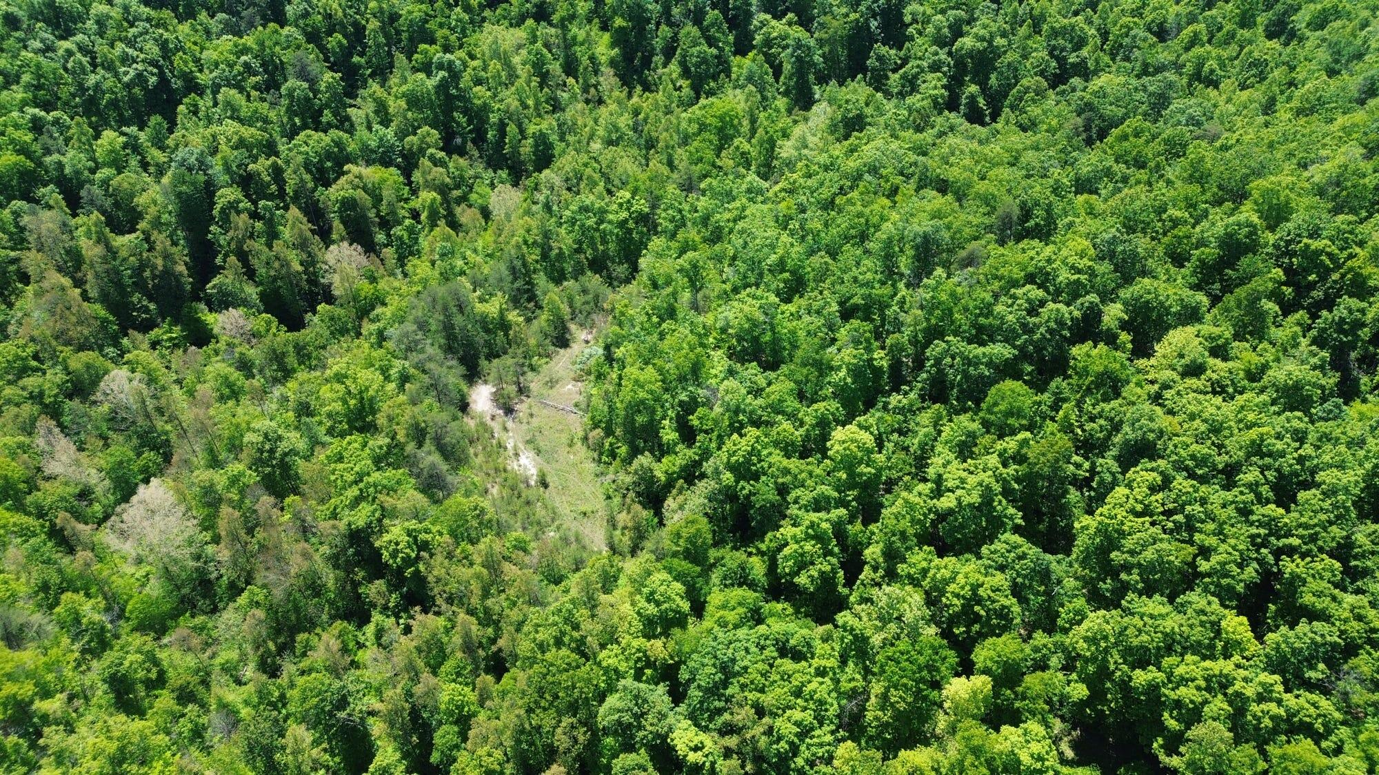 700 Clay Camp Road Property Photo 97
