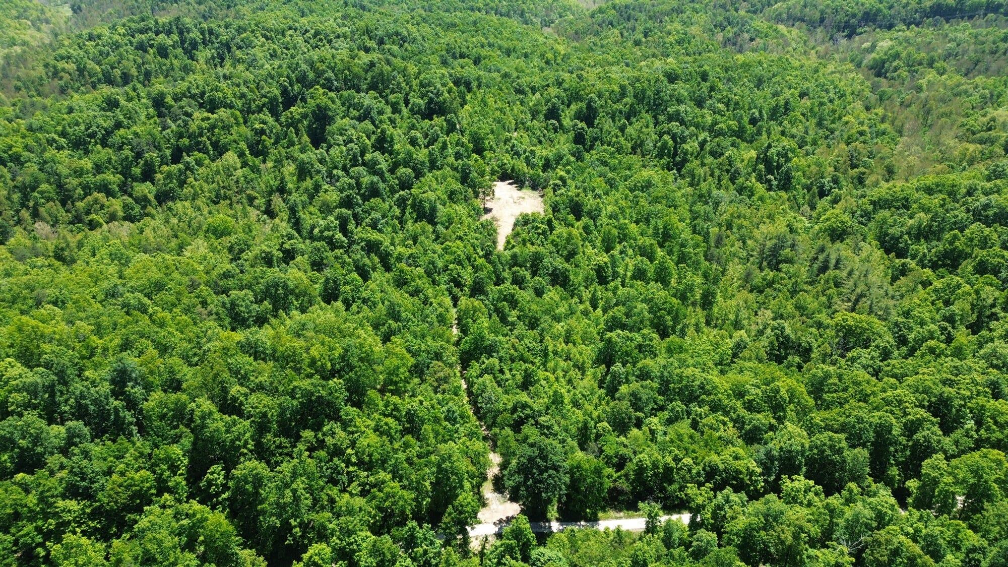 700 Clay Camp Road Property Photo 99