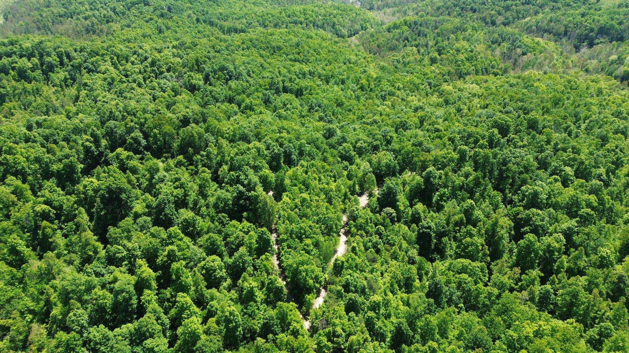 700 Clay Camp Road Property Photo 100