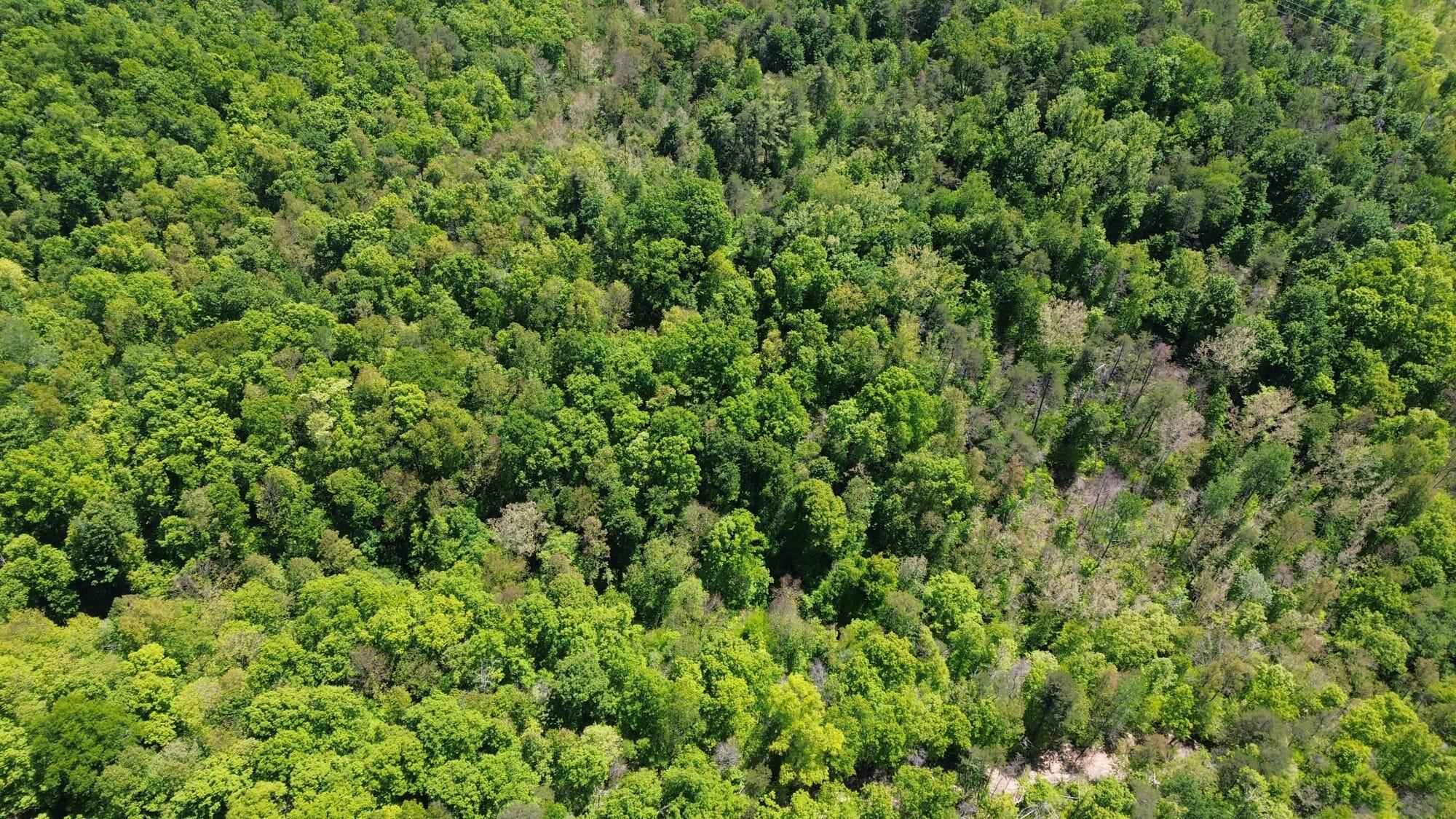 700 Clay Camp Road Property Photo 102