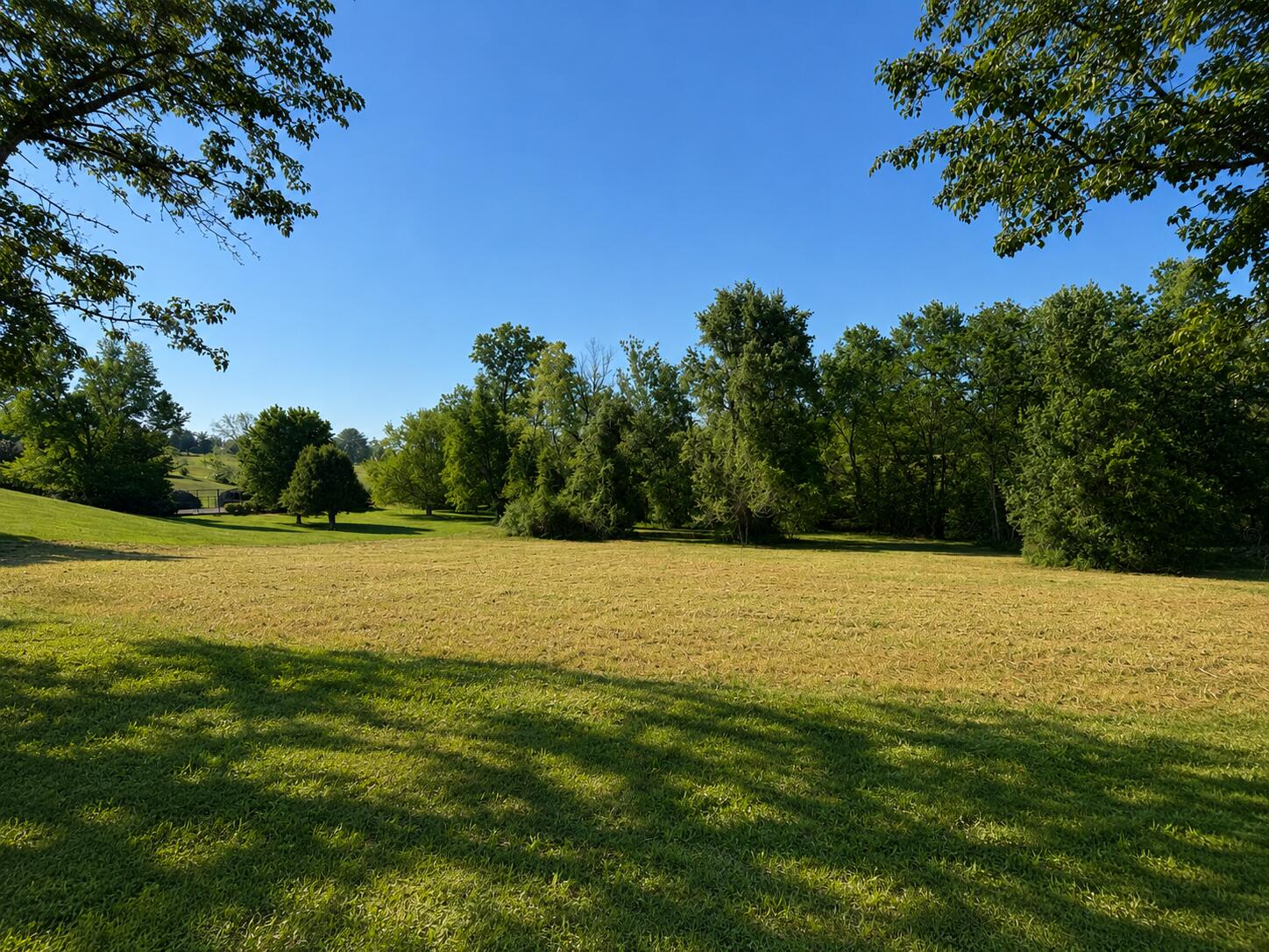 35 Waitsboro Circle Property Photo 8
