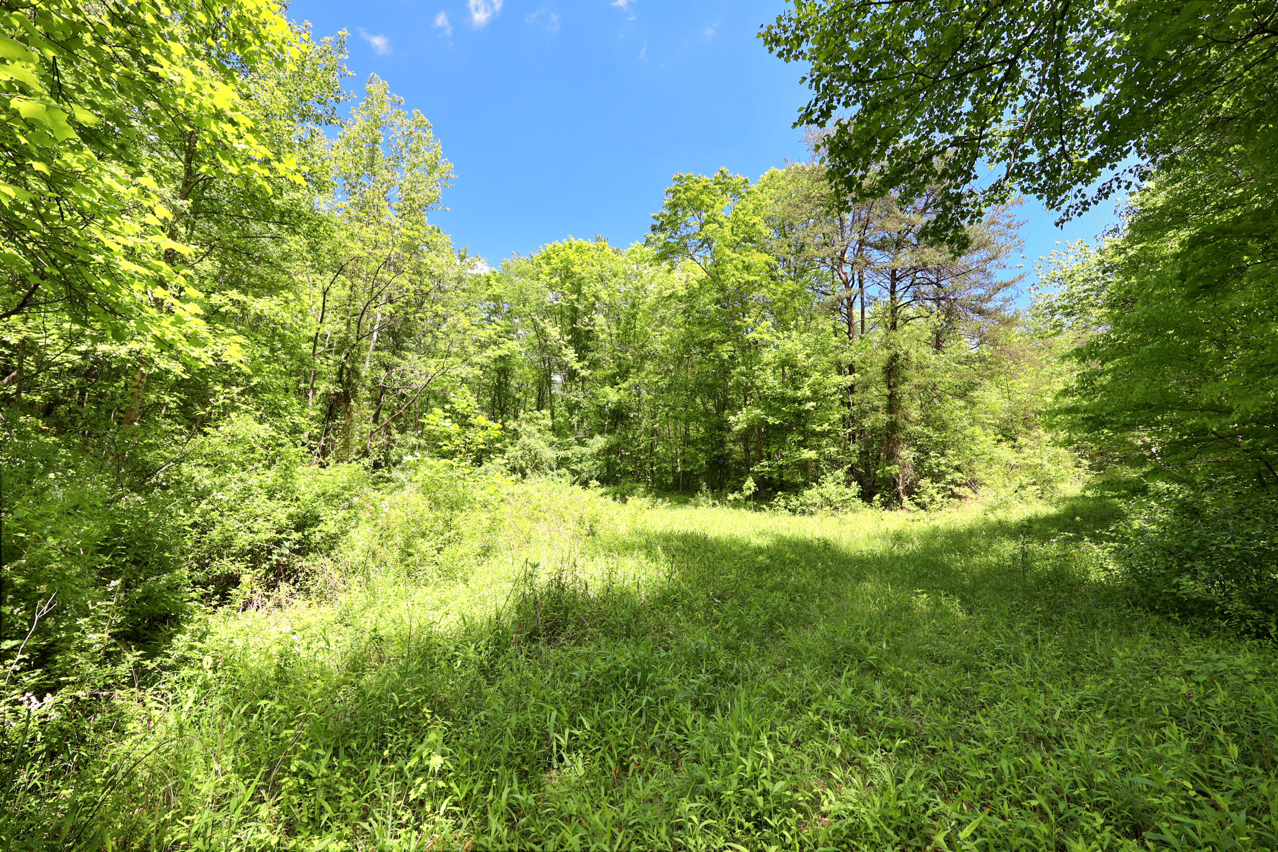 9999 Long Branch Road Property Photo 8