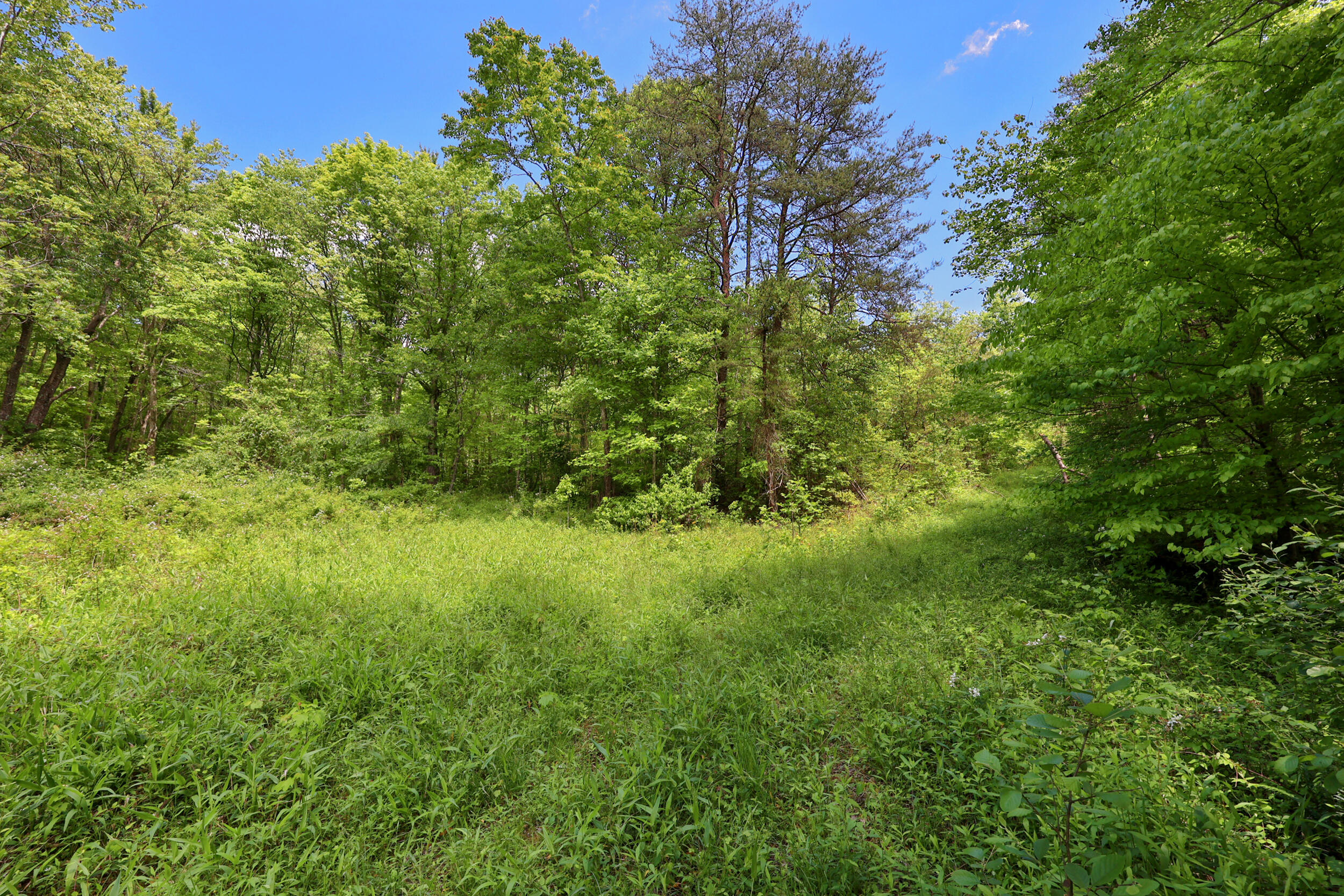 9999 Long Branch Road Property Photo 9