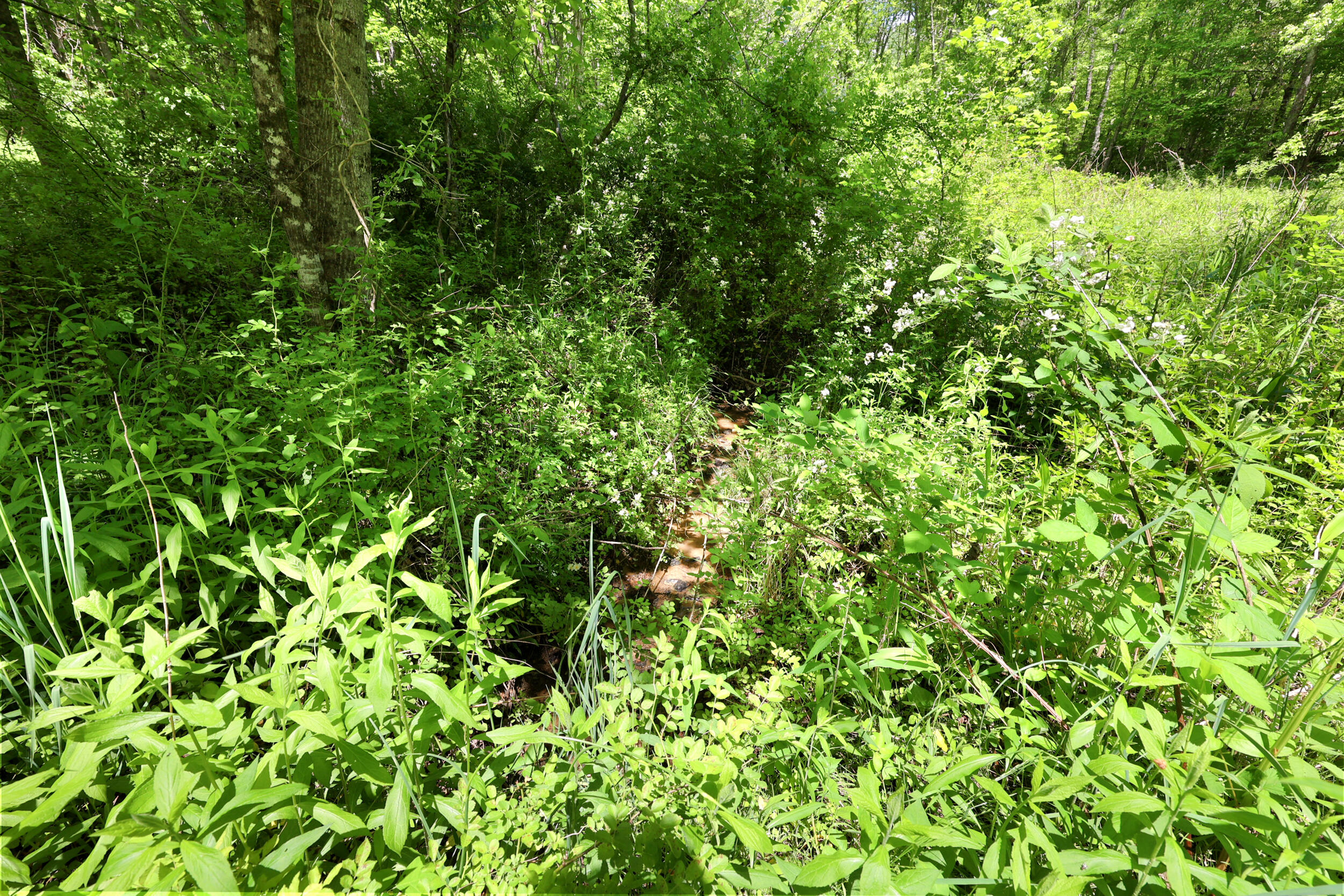 9999 Long Branch Road Property Photo 11