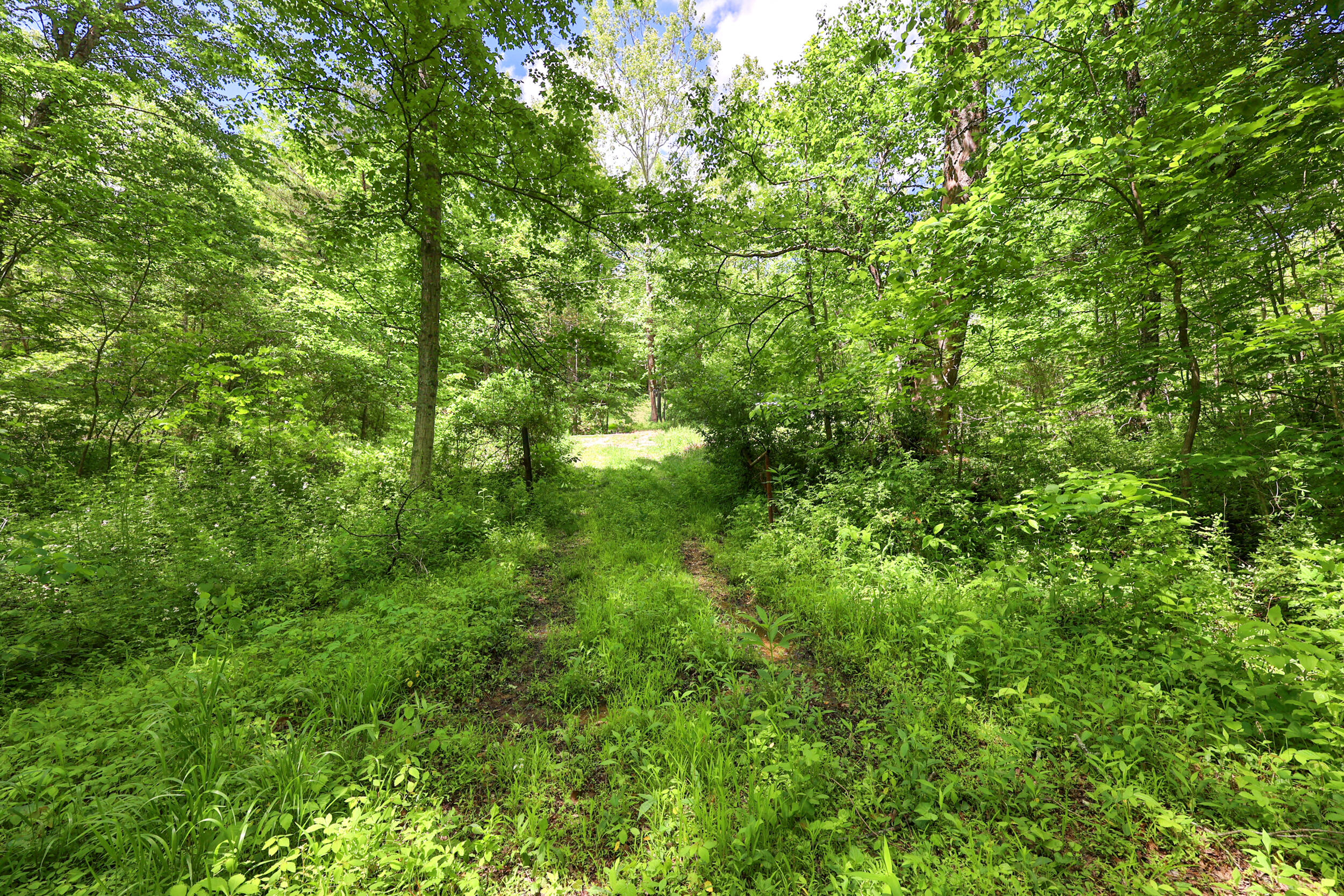 9999 Long Branch Road Property Photo 12