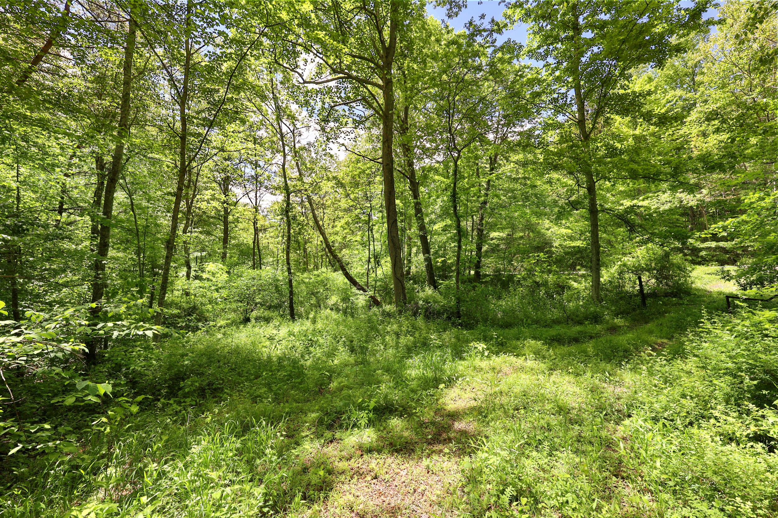 9999 Long Branch Road Property Photo 13
