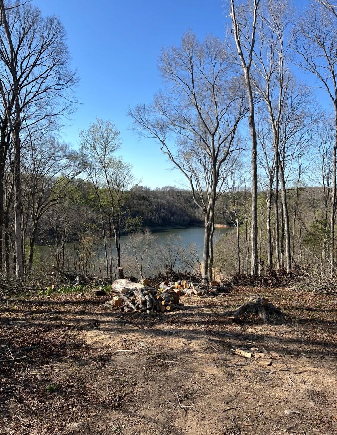 12 W Old Jamestown Road
