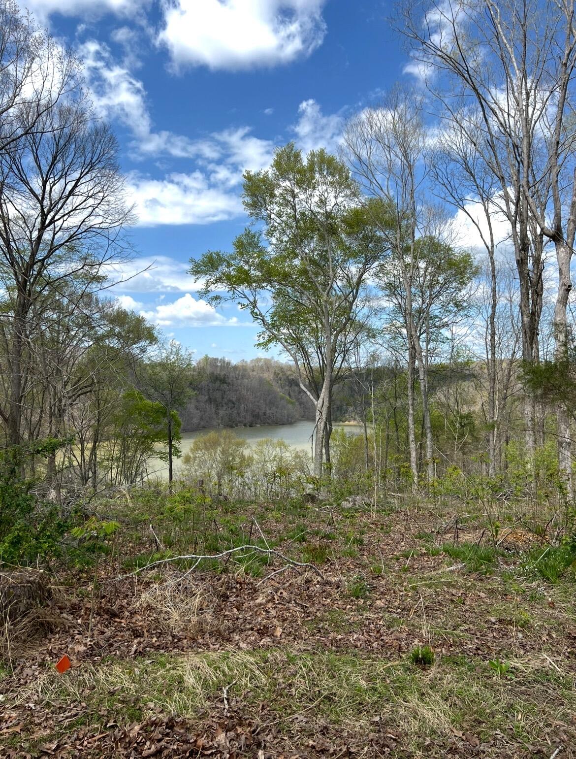12 W Old Jamestown Road Property Photo 3