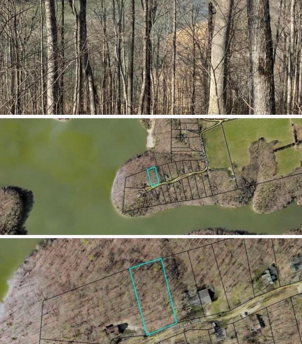 12 W Old Jamestown Road Property Photo 5