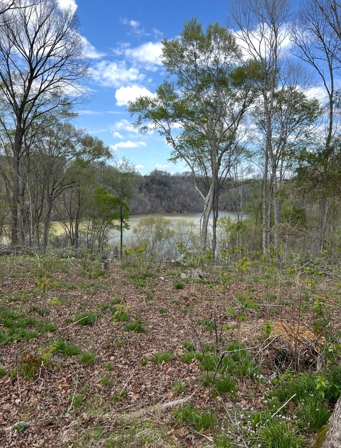 12 W Old Jamestown Road Property Photo 6