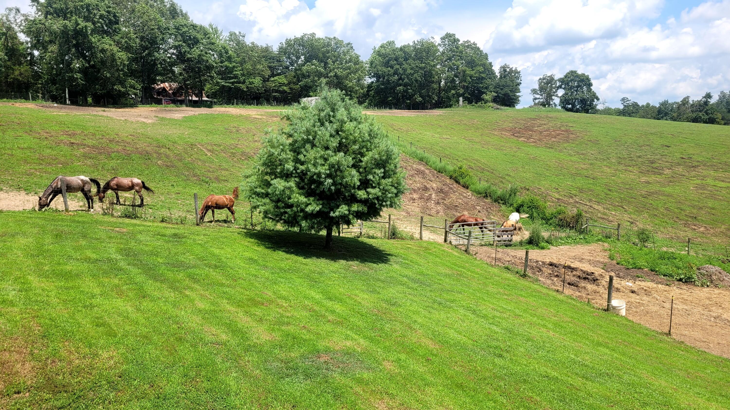 6758 Highway 1693 Property Photo 38