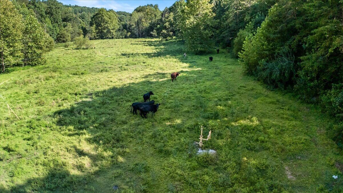 928 Indian Creek Road Property Photo 42