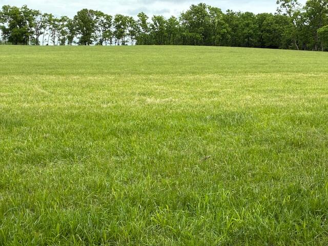3669 Ironworks Road B-1 Property Photo 5
