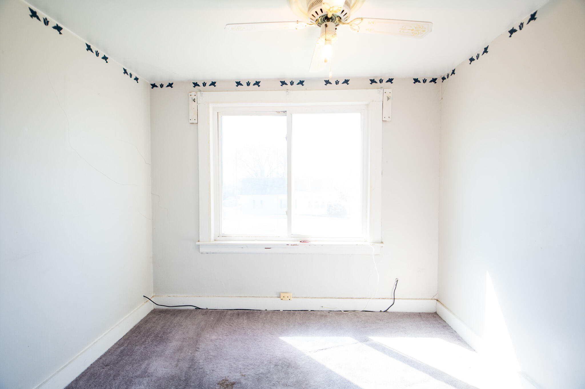 146 Cotter Avenue Property Photo 39