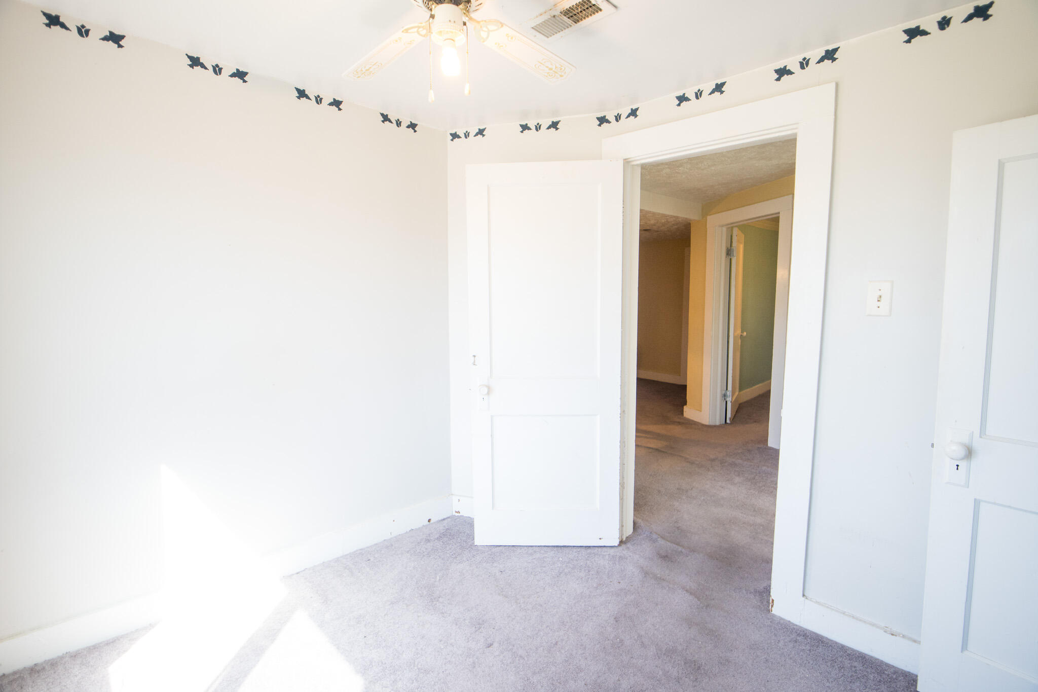 146 Cotter Avenue Property Photo 41