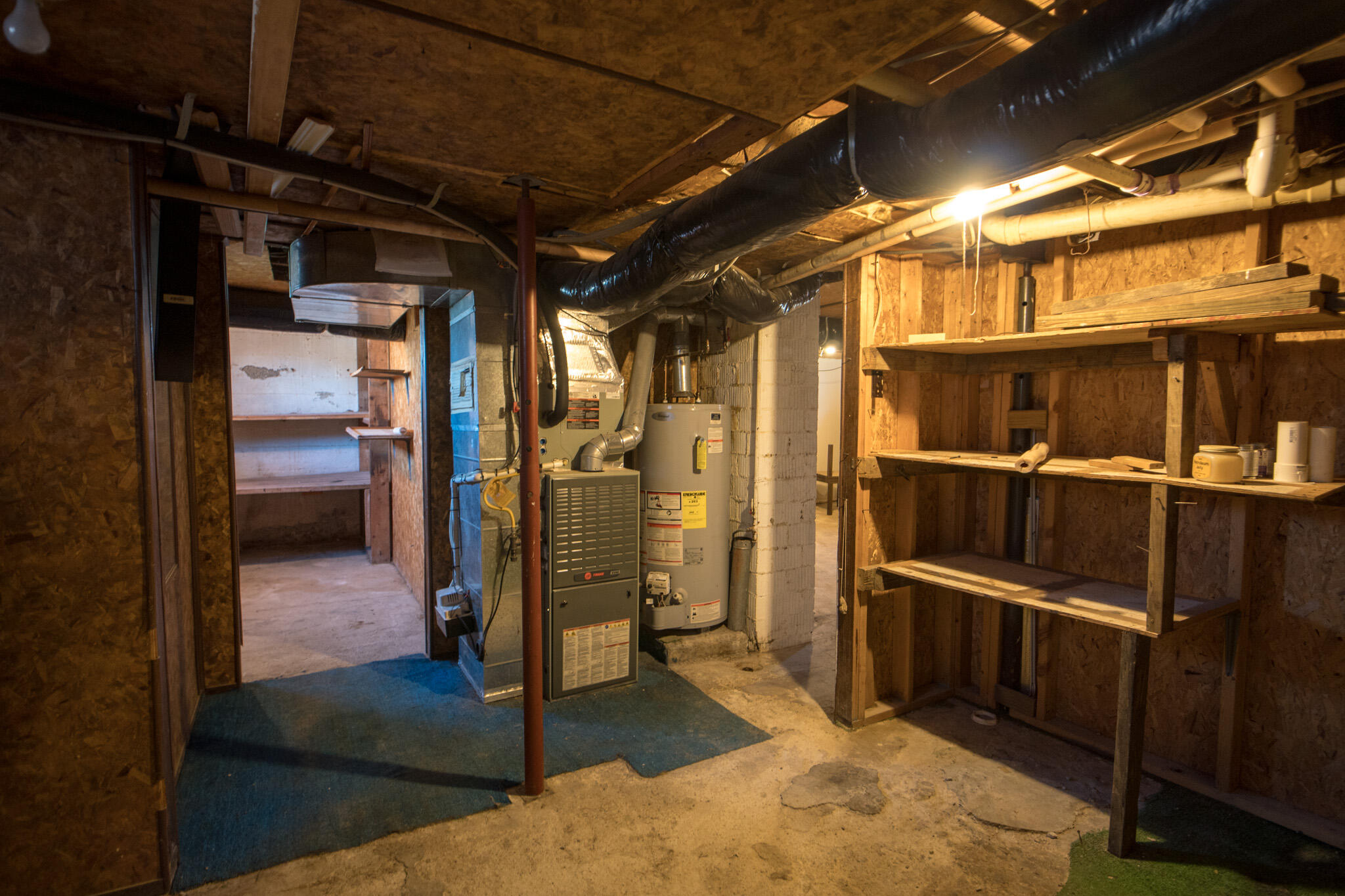 146 Cotter Avenue Property Photo 52