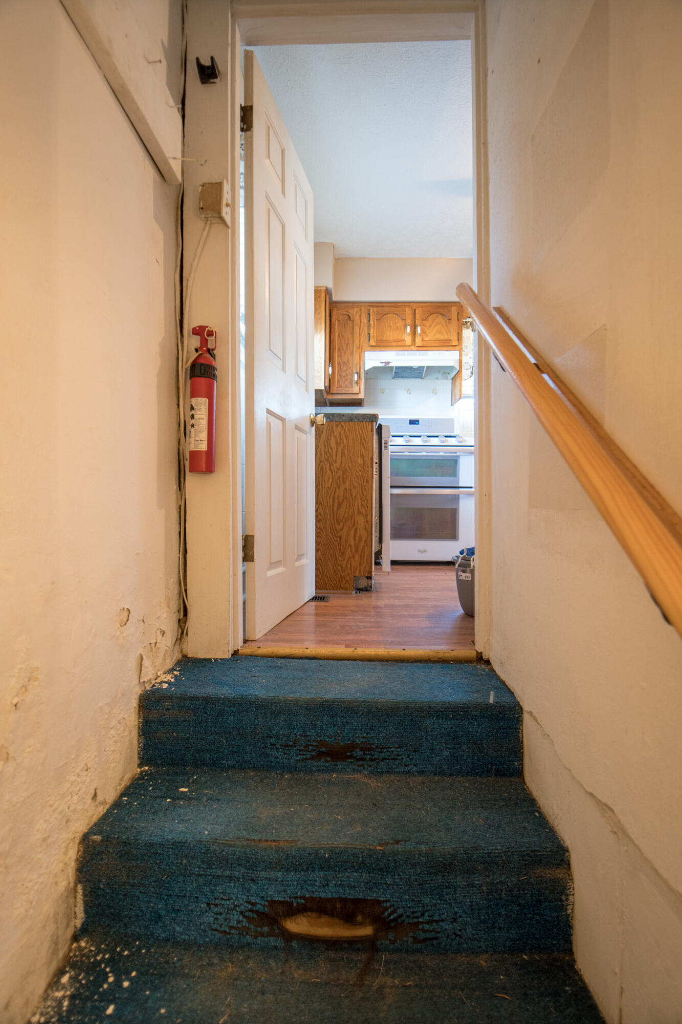 146 Cotter Avenue Property Photo 56