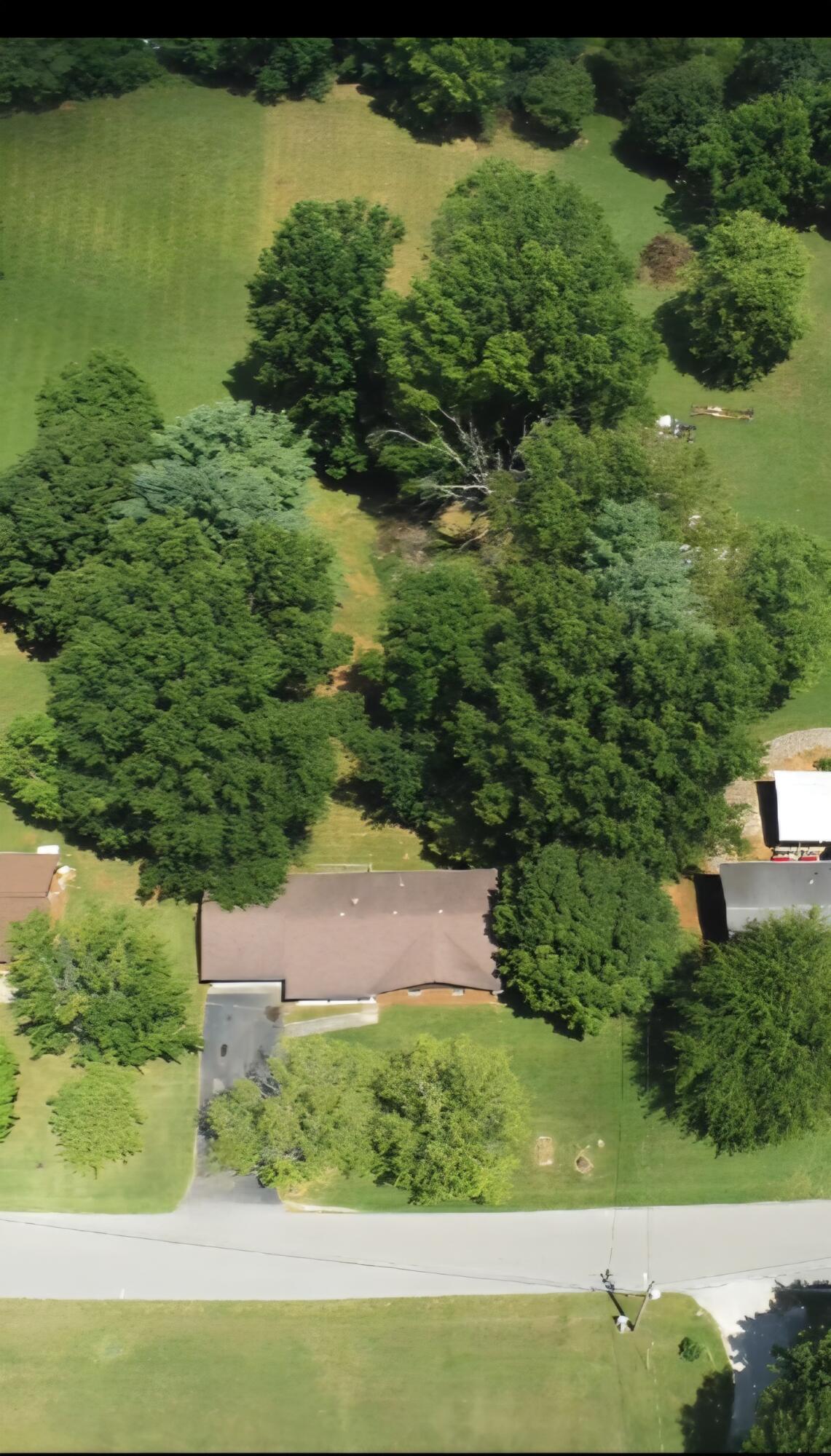 1006 Rainbow Drive Property Photo 4