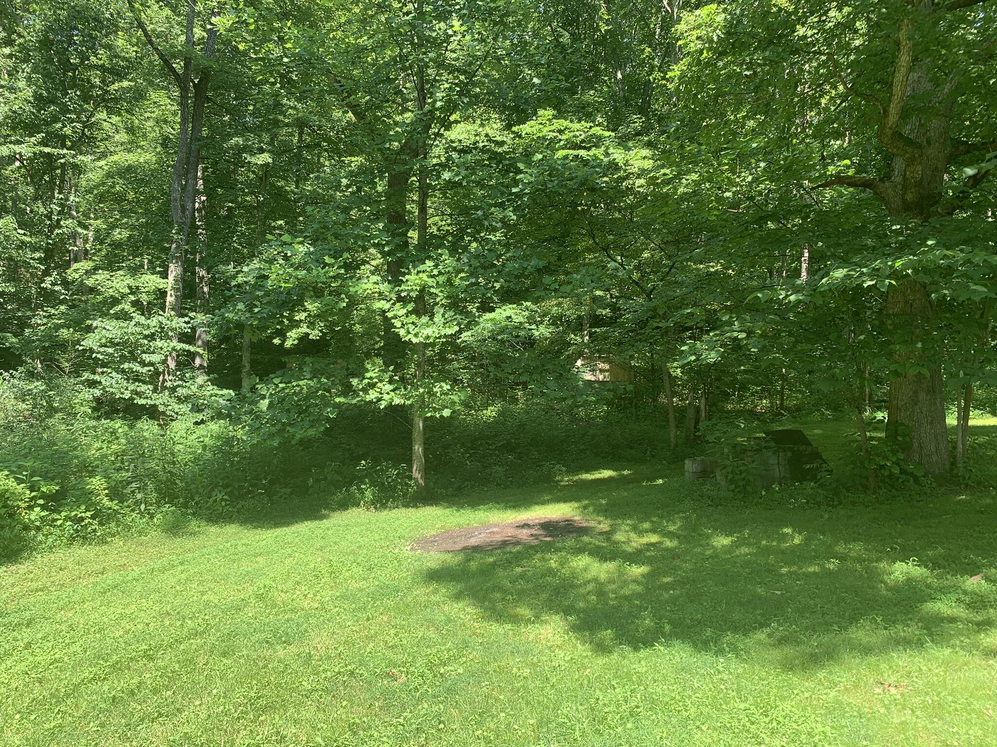 21818 State Route 3 Property Photo 11