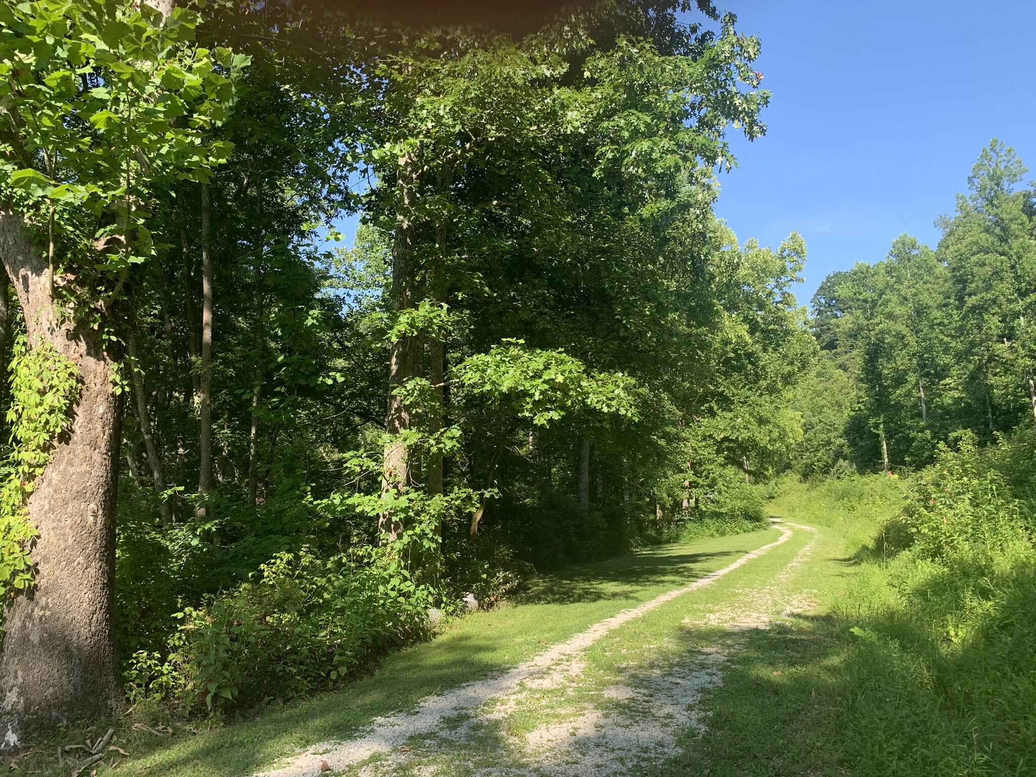 21818 State Route 3 Property Photo 15