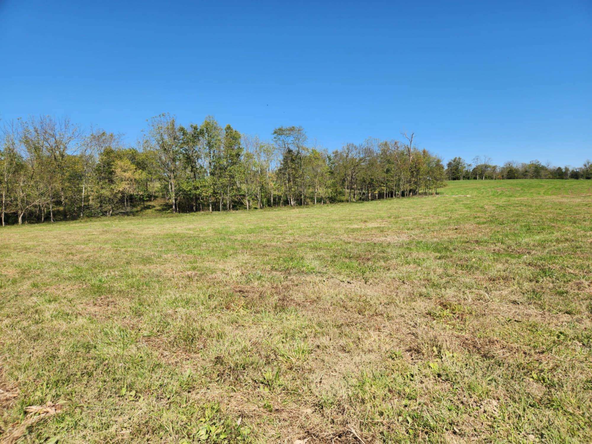 410 Murphy Lane Property Photo 46