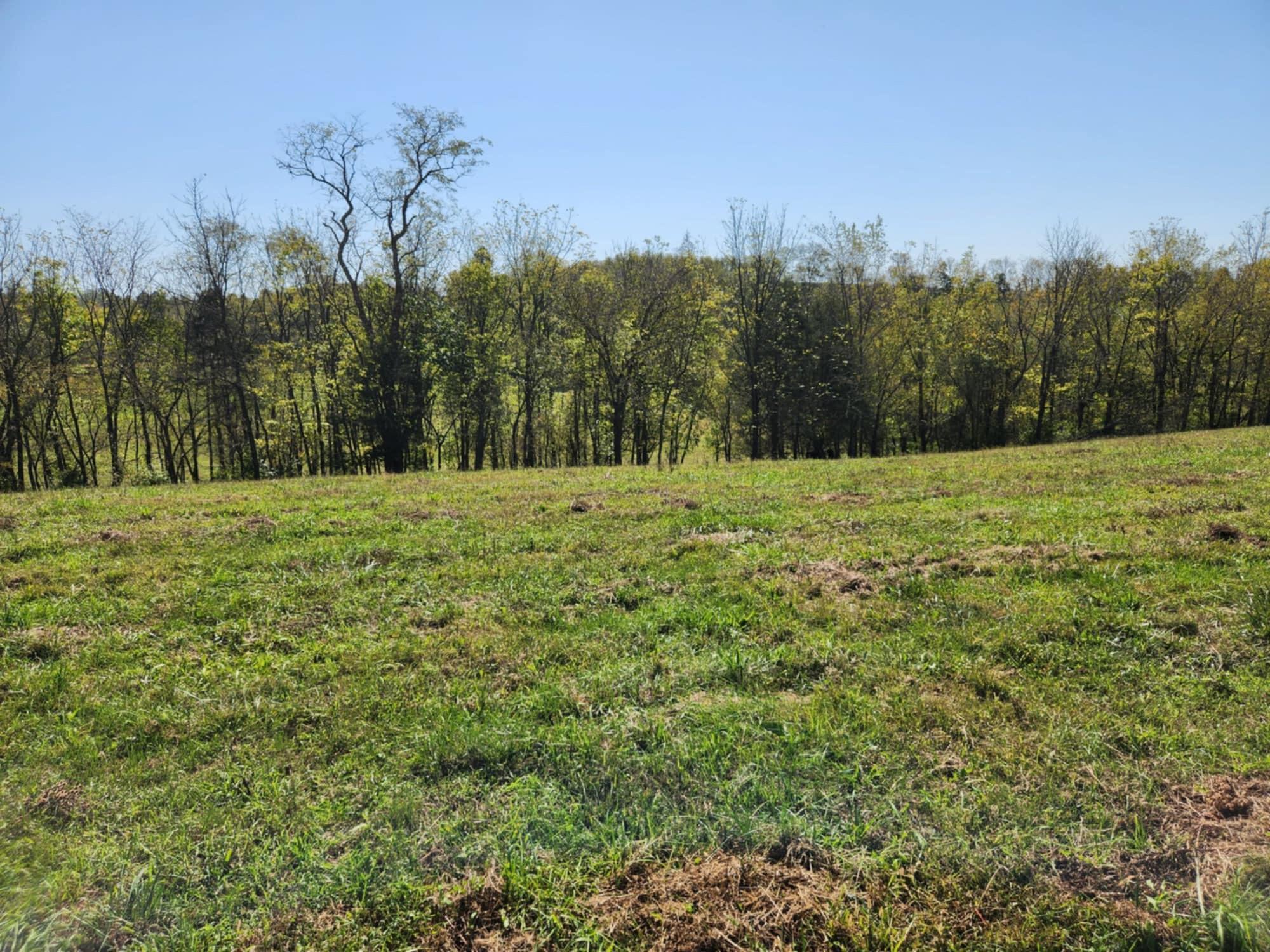 410 Murphy Lane Property Photo 55