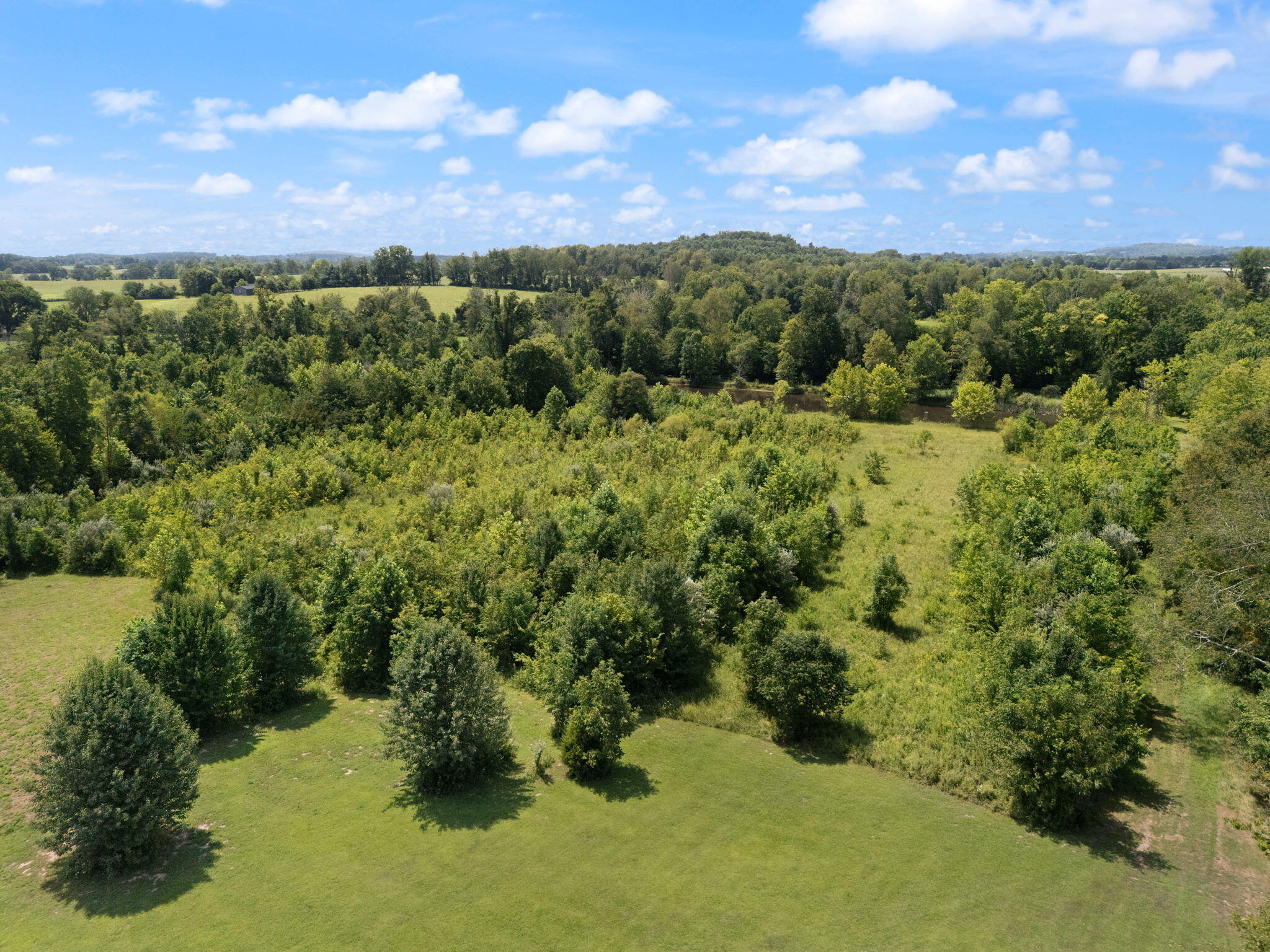 14033 Hwy. 1247 Property Photo 93