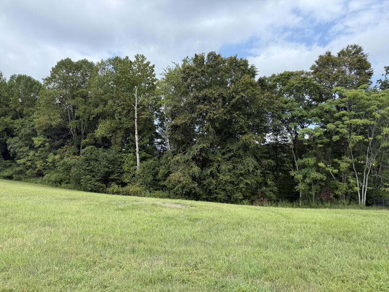 Lot 92 Stillwater Property Photo 1
