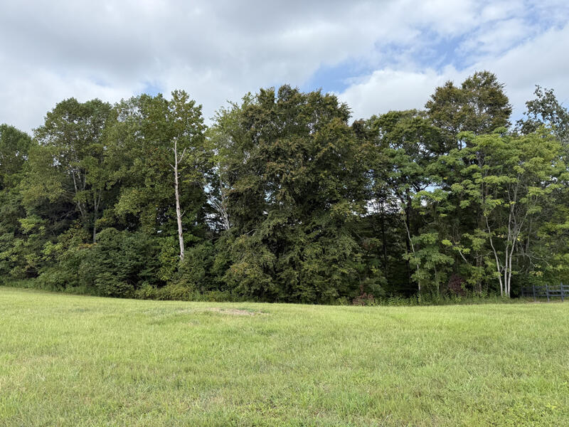 Lot 92 Stillwater Property Photo 3