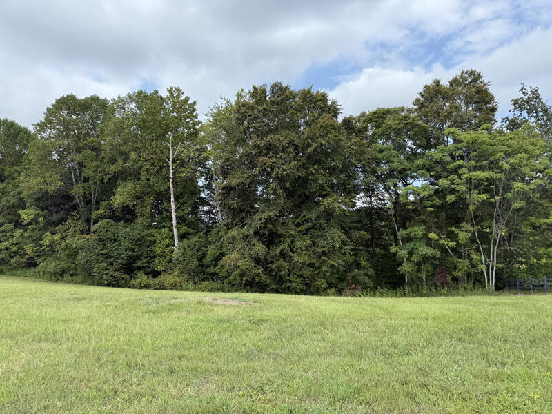Lot 92 Stillwater Property Photo 4