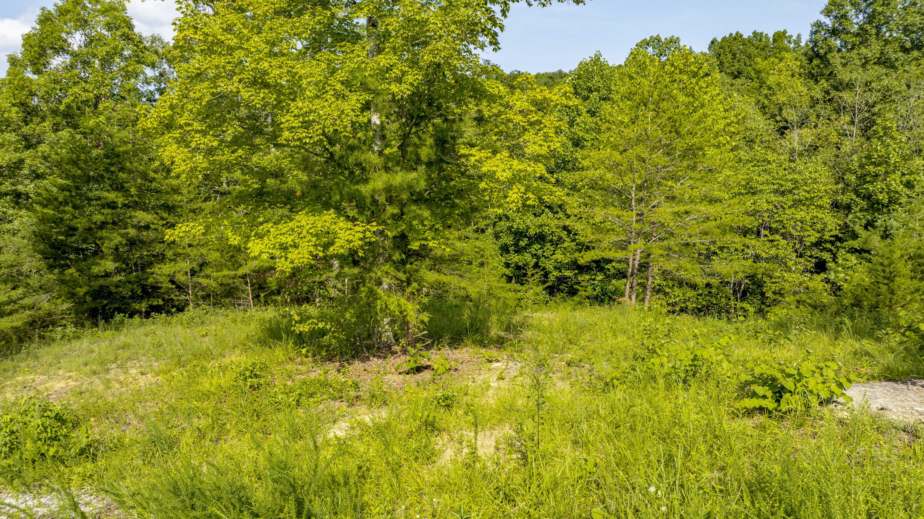 61 Brittany Drive Property Photo 18